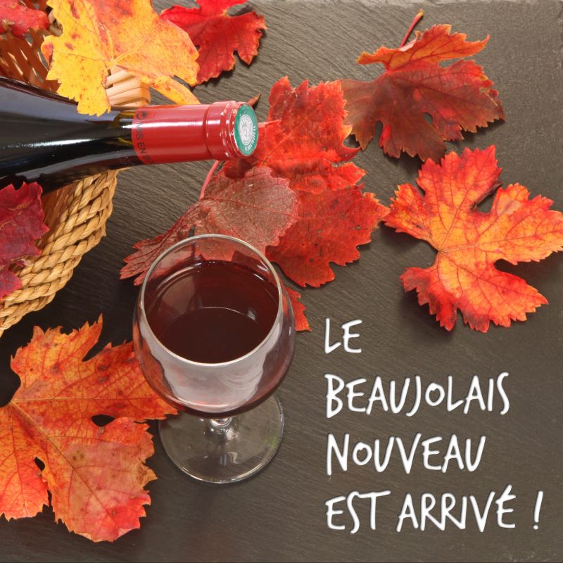 achat beaujolais nouveau, commande beaujolais nouveau, réserver beaujolais nouveau, réservation beaujolais nouveau, beaujolais nouveau en ligne, livrer beaujolais nouveau, achat vin, vente vin, caviste en ligne